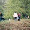 svs-image2240